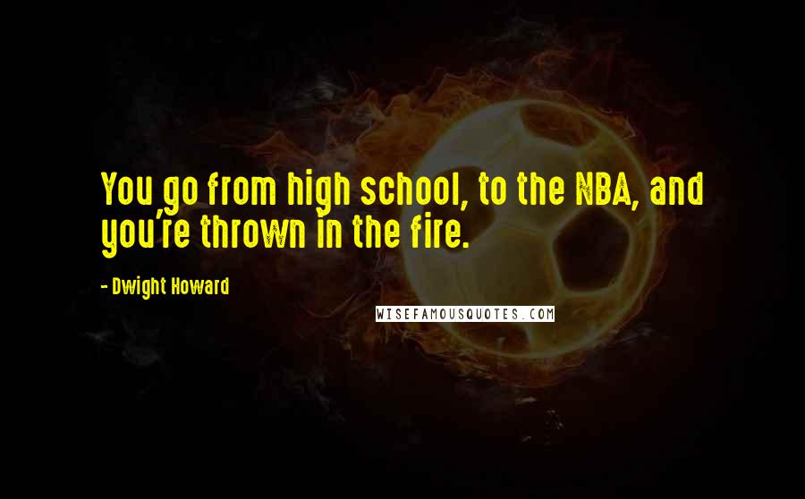 Dwight Howard Quotes: You go from high school, to the NBA, and you're thrown in the fire.