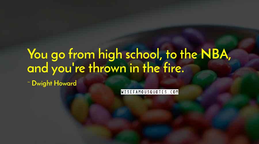 Dwight Howard Quotes: You go from high school, to the NBA, and you're thrown in the fire.
