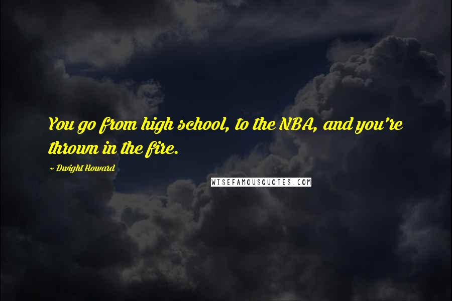 Dwight Howard Quotes: You go from high school, to the NBA, and you're thrown in the fire.