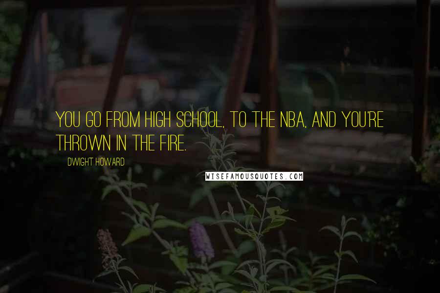 Dwight Howard Quotes: You go from high school, to the NBA, and you're thrown in the fire.