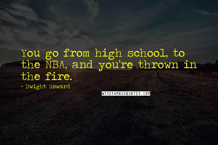 Dwight Howard Quotes: You go from high school, to the NBA, and you're thrown in the fire.