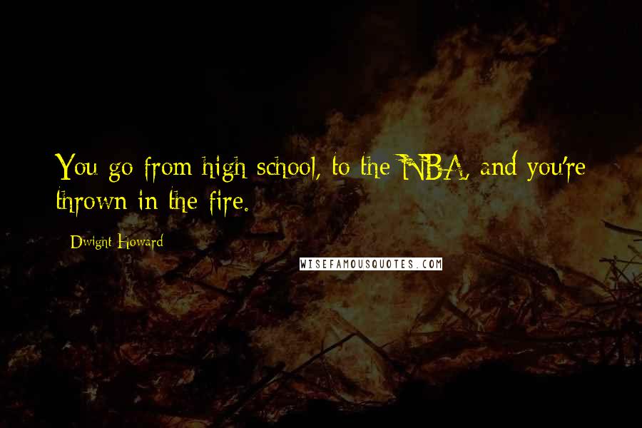 Dwight Howard Quotes: You go from high school, to the NBA, and you're thrown in the fire.