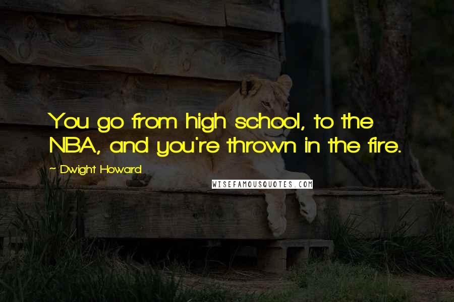 Dwight Howard Quotes: You go from high school, to the NBA, and you're thrown in the fire.
