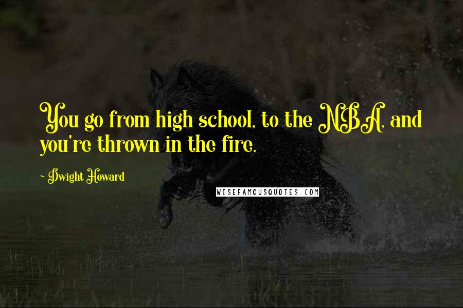 Dwight Howard Quotes: You go from high school, to the NBA, and you're thrown in the fire.