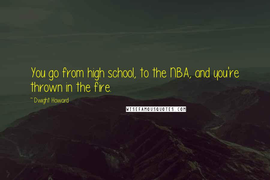 Dwight Howard Quotes: You go from high school, to the NBA, and you're thrown in the fire.
