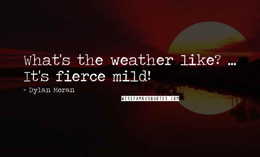Dylan Moran Quotes: What's the weather like? ... It's fierce mild!