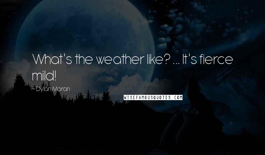 Dylan Moran Quotes: What's the weather like? ... It's fierce mild!