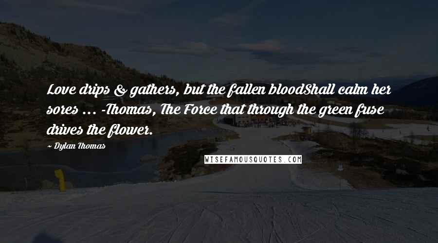 Dylan Thomas Quotes: Love drips & gathers, but the fallen bloodShall calm her sores ... -Thomas, The Force that through the green fuse drives the flower.
