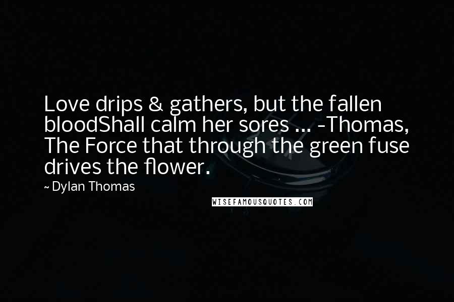 Dylan Thomas Quotes: Love drips & gathers, but the fallen bloodShall calm her sores ... -Thomas, The Force that through the green fuse drives the flower.