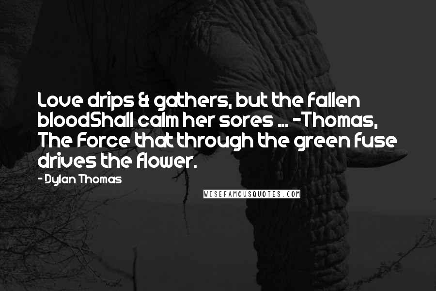 Dylan Thomas Quotes: Love drips & gathers, but the fallen bloodShall calm her sores ... -Thomas, The Force that through the green fuse drives the flower.