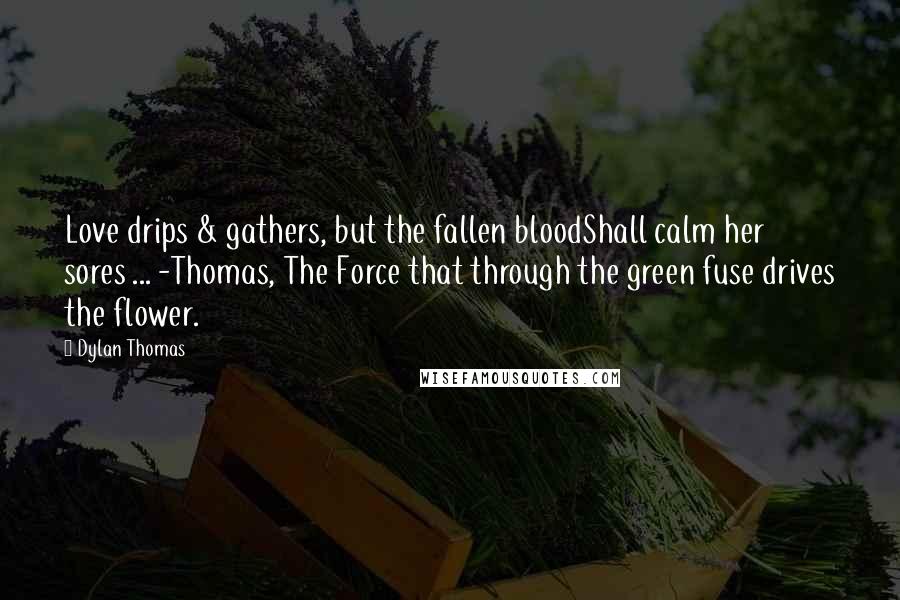 Dylan Thomas Quotes: Love drips & gathers, but the fallen bloodShall calm her sores ... -Thomas, The Force that through the green fuse drives the flower.