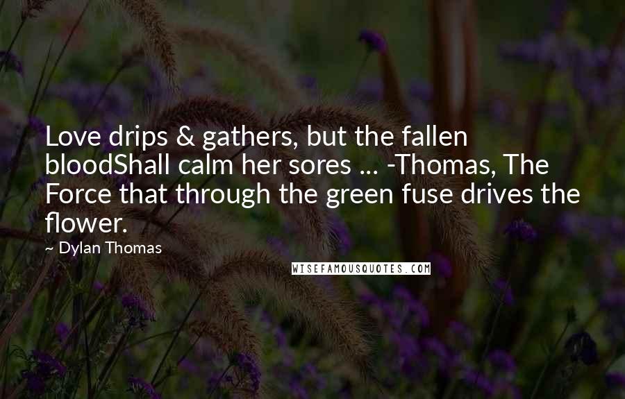 Dylan Thomas Quotes: Love drips & gathers, but the fallen bloodShall calm her sores ... -Thomas, The Force that through the green fuse drives the flower.