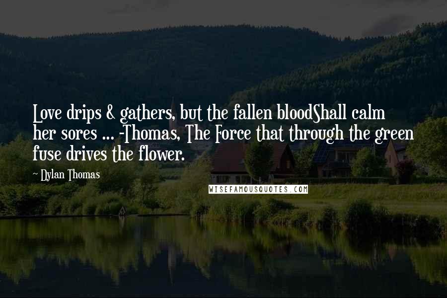 Dylan Thomas Quotes: Love drips & gathers, but the fallen bloodShall calm her sores ... -Thomas, The Force that through the green fuse drives the flower.