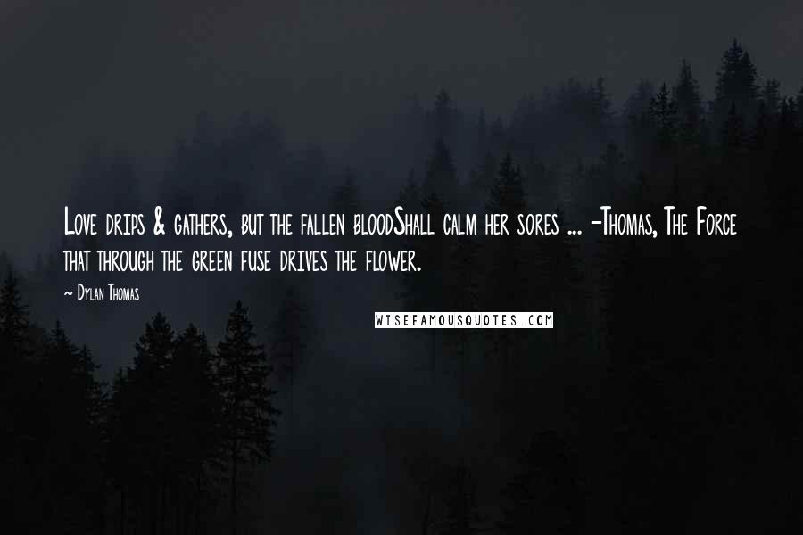 Dylan Thomas Quotes: Love drips & gathers, but the fallen bloodShall calm her sores ... -Thomas, The Force that through the green fuse drives the flower.