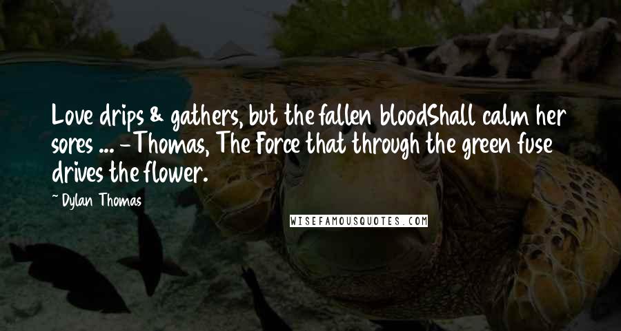 Dylan Thomas Quotes: Love drips & gathers, but the fallen bloodShall calm her sores ... -Thomas, The Force that through the green fuse drives the flower.