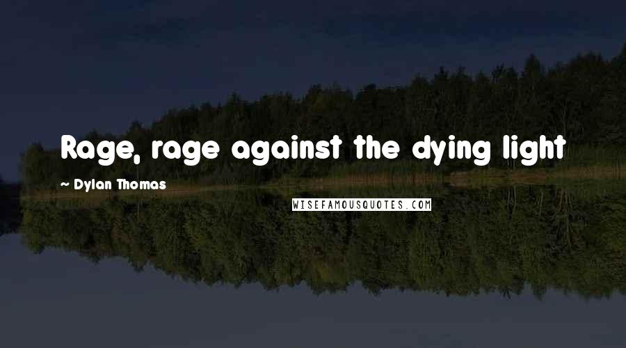 Dylan Thomas Quotes: Rage, rage against the dying light