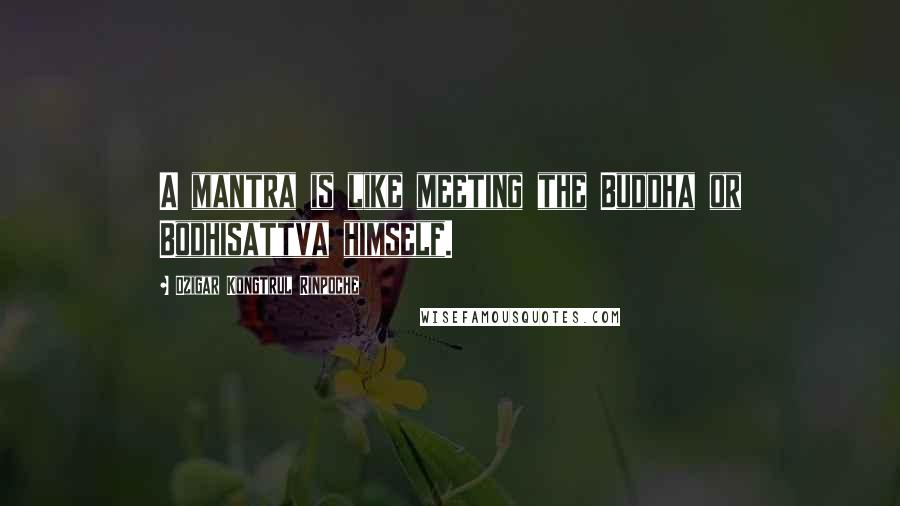 Dzigar Kongtrul Rinpoche Quotes: A mantra is like meeting the Buddha or Bodhisattva himself.