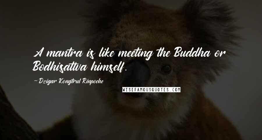 Dzigar Kongtrul Rinpoche Quotes: A mantra is like meeting the Buddha or Bodhisattva himself.