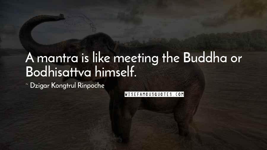 Dzigar Kongtrul Rinpoche Quotes: A mantra is like meeting the Buddha or Bodhisattva himself.