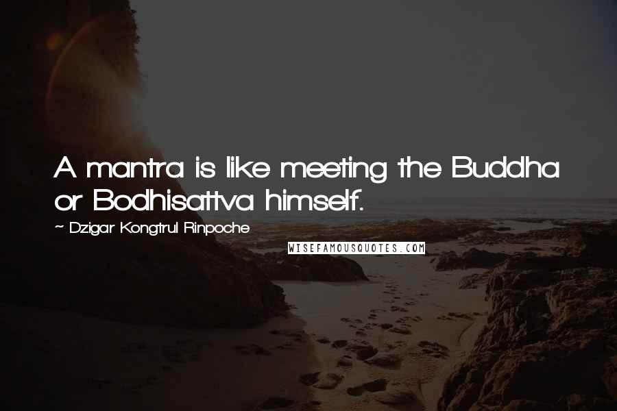 Dzigar Kongtrul Rinpoche Quotes: A mantra is like meeting the Buddha or Bodhisattva himself.