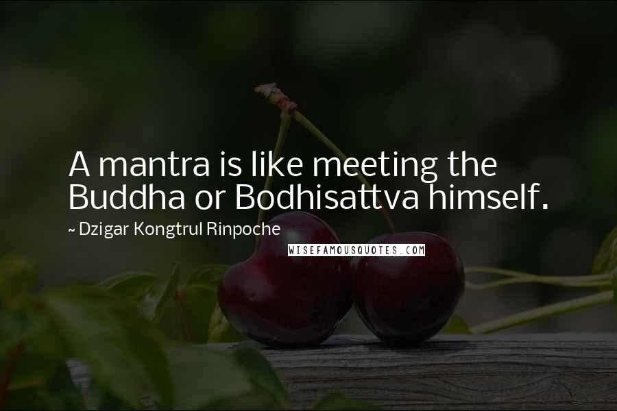 Dzigar Kongtrul Rinpoche Quotes: A mantra is like meeting the Buddha or Bodhisattva himself.