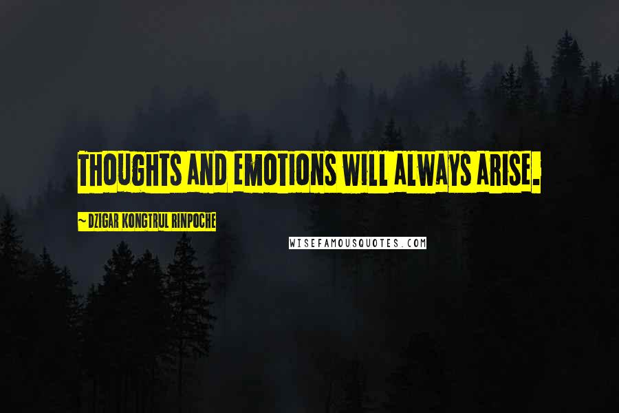Dzigar Kongtrul Rinpoche Quotes: Thoughts and emotions will always arise.