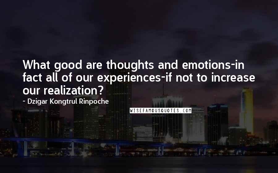 Dzigar Kongtrul Rinpoche Quotes: What good are thoughts and emotions-in fact all of our experiences-if not to increase our realization?