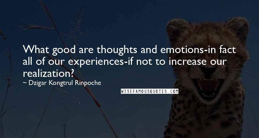 Dzigar Kongtrul Rinpoche Quotes: What good are thoughts and emotions-in fact all of our experiences-if not to increase our realization?