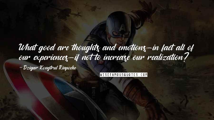 Dzigar Kongtrul Rinpoche Quotes: What good are thoughts and emotions-in fact all of our experiences-if not to increase our realization?
