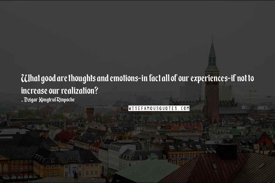 Dzigar Kongtrul Rinpoche Quotes: What good are thoughts and emotions-in fact all of our experiences-if not to increase our realization?