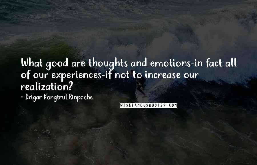 Dzigar Kongtrul Rinpoche Quotes: What good are thoughts and emotions-in fact all of our experiences-if not to increase our realization?