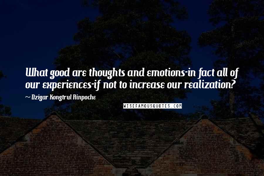 Dzigar Kongtrul Rinpoche Quotes: What good are thoughts and emotions-in fact all of our experiences-if not to increase our realization?