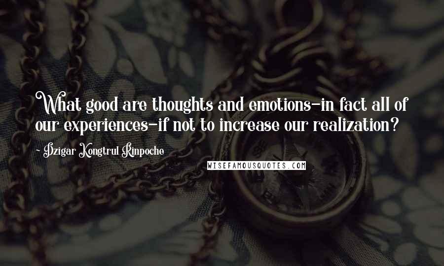 Dzigar Kongtrul Rinpoche Quotes: What good are thoughts and emotions-in fact all of our experiences-if not to increase our realization?