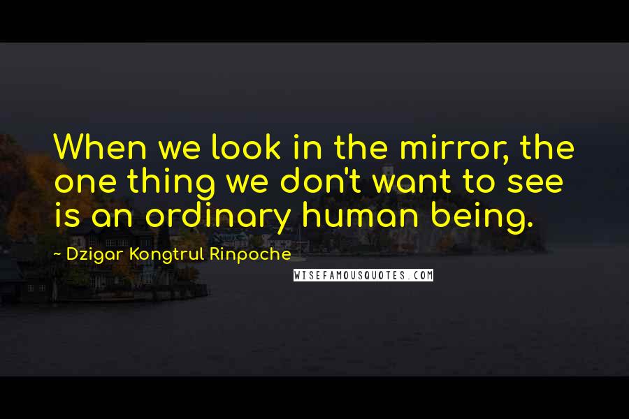 Dzigar Kongtrul Rinpoche Quotes: When we look in the mirror, the one thing we don't want to see is an ordinary human being.