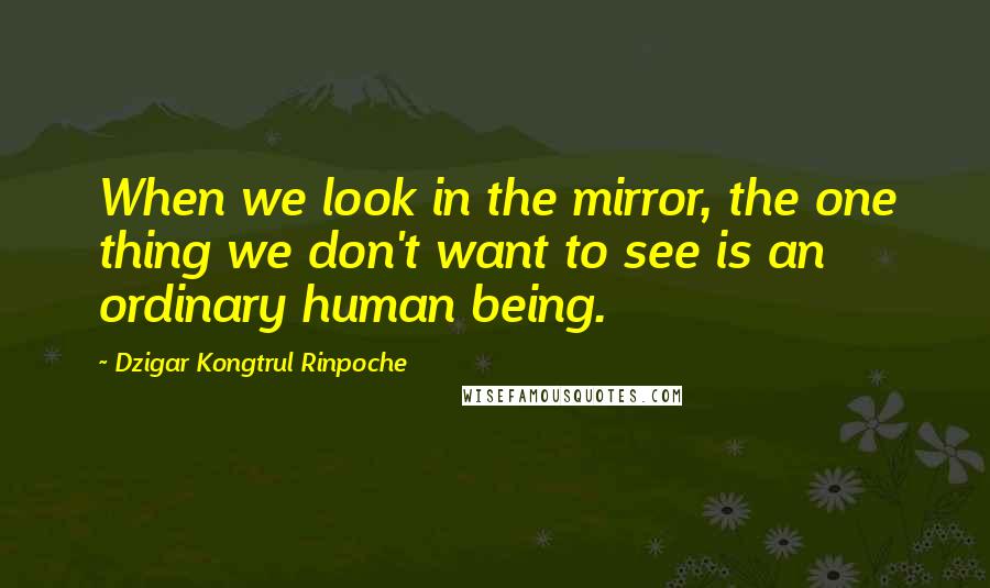 Dzigar Kongtrul Rinpoche Quotes: When we look in the mirror, the one thing we don't want to see is an ordinary human being.