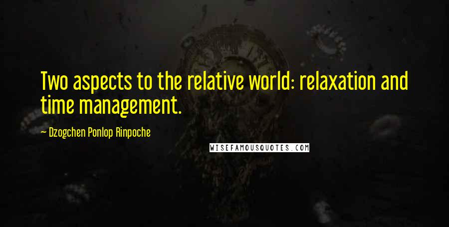Dzogchen Ponlop Rinpoche Quotes: Two aspects to the relative world: relaxation and time management.
