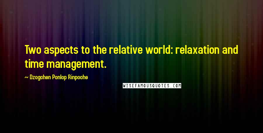 Dzogchen Ponlop Rinpoche Quotes: Two aspects to the relative world: relaxation and time management.