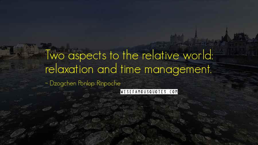 Dzogchen Ponlop Rinpoche Quotes: Two aspects to the relative world: relaxation and time management.