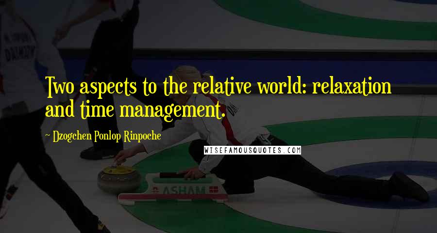 Dzogchen Ponlop Rinpoche Quotes: Two aspects to the relative world: relaxation and time management.