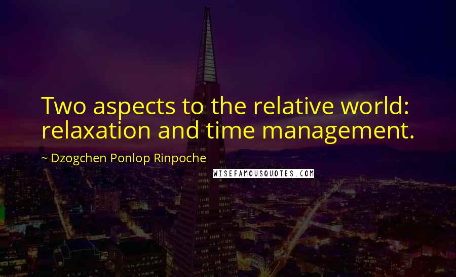 Dzogchen Ponlop Rinpoche Quotes: Two aspects to the relative world: relaxation and time management.