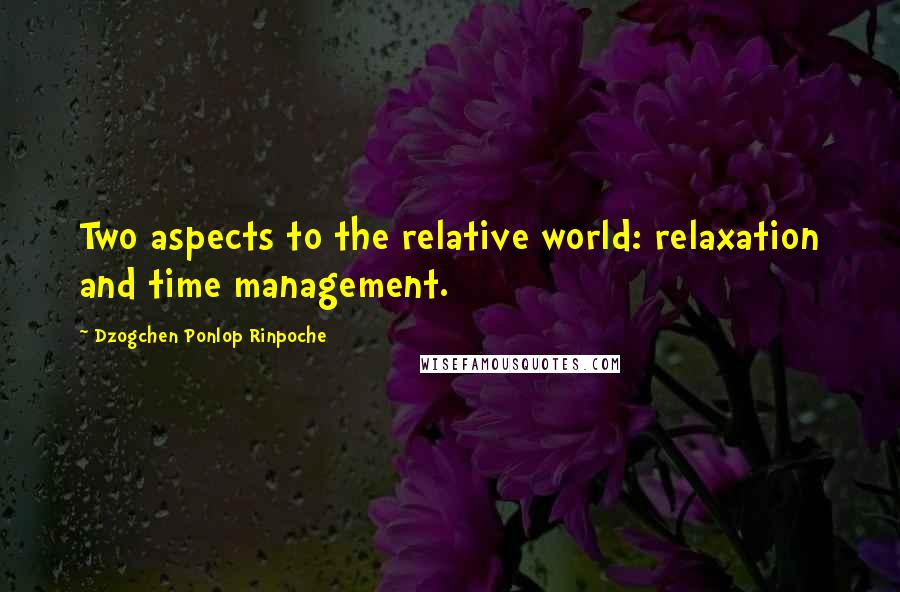 Dzogchen Ponlop Rinpoche Quotes: Two aspects to the relative world: relaxation and time management.