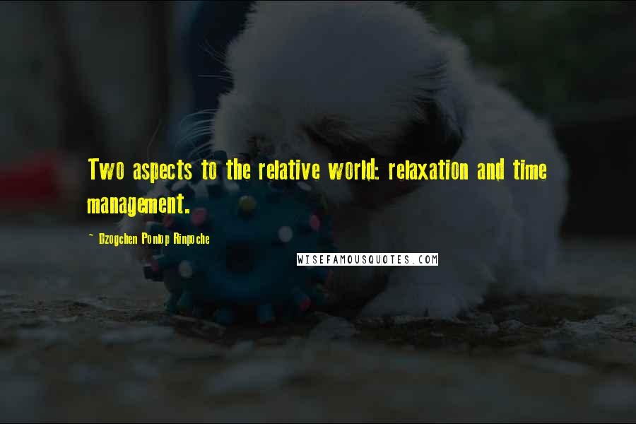 Dzogchen Ponlop Rinpoche Quotes: Two aspects to the relative world: relaxation and time management.