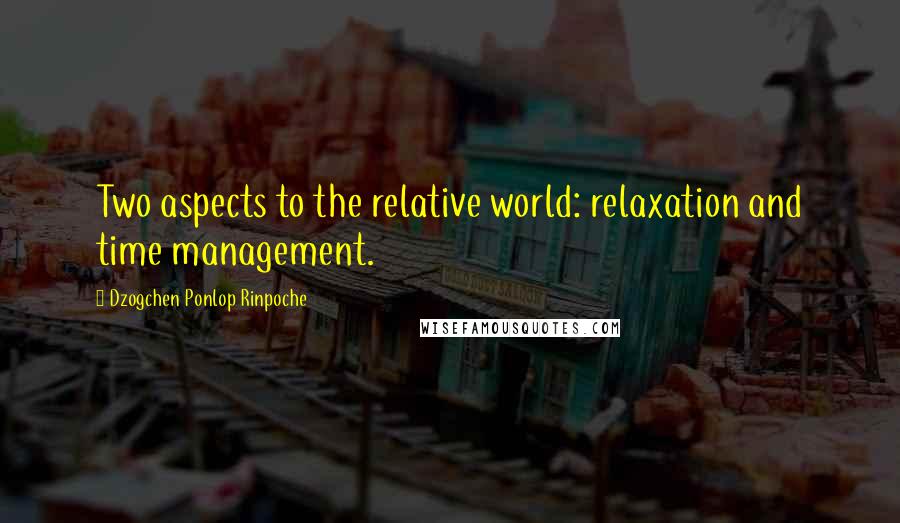 Dzogchen Ponlop Rinpoche Quotes: Two aspects to the relative world: relaxation and time management.