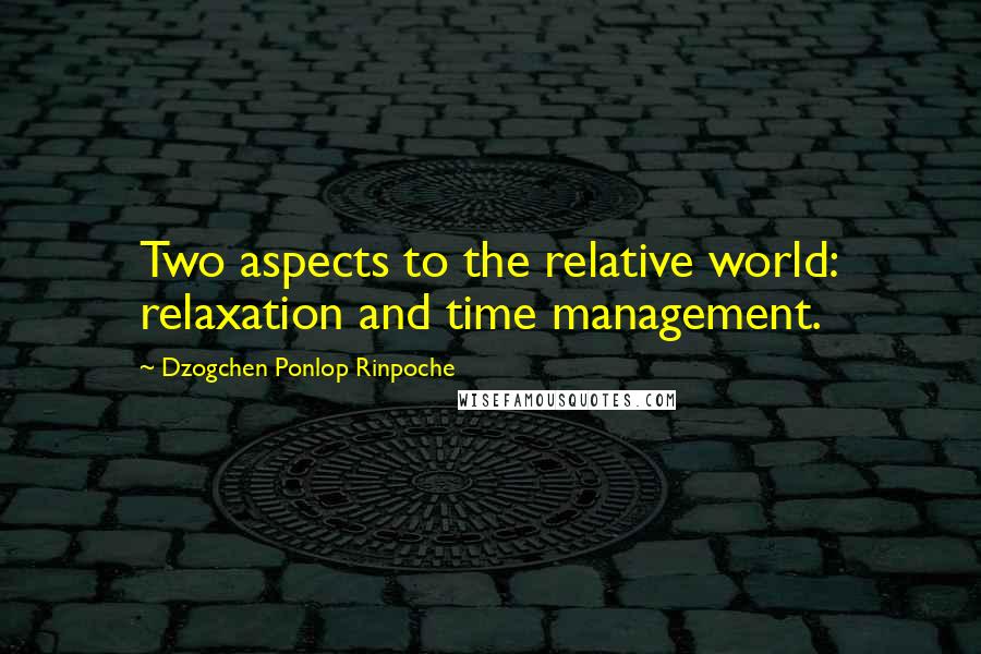 Dzogchen Ponlop Rinpoche Quotes: Two aspects to the relative world: relaxation and time management.