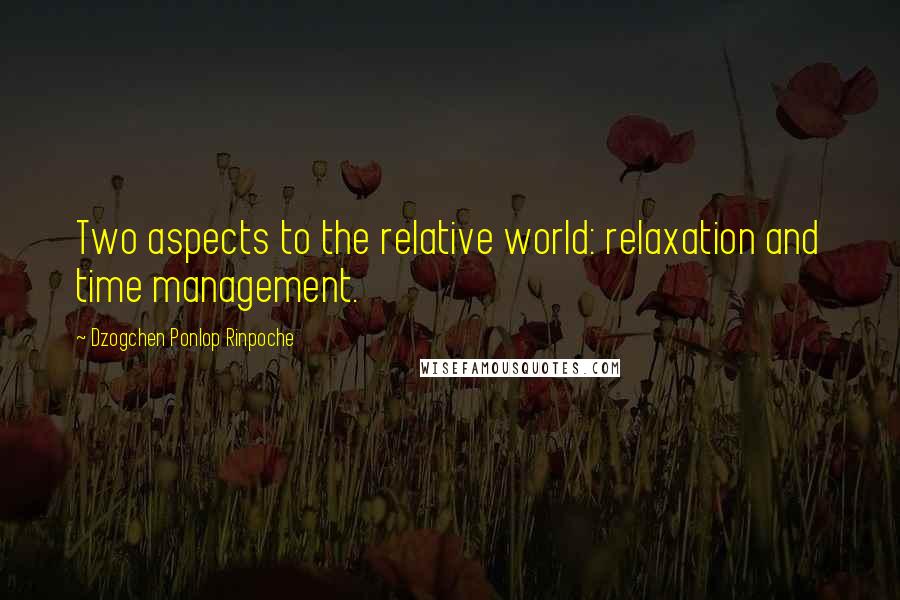 Dzogchen Ponlop Rinpoche Quotes: Two aspects to the relative world: relaxation and time management.