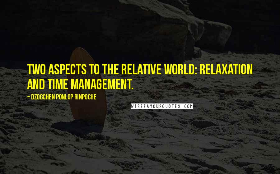 Dzogchen Ponlop Rinpoche Quotes: Two aspects to the relative world: relaxation and time management.