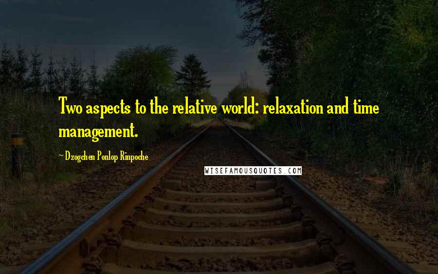 Dzogchen Ponlop Rinpoche Quotes: Two aspects to the relative world: relaxation and time management.