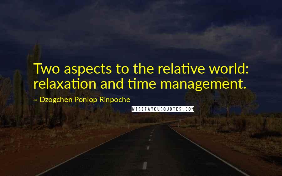 Dzogchen Ponlop Rinpoche Quotes: Two aspects to the relative world: relaxation and time management.