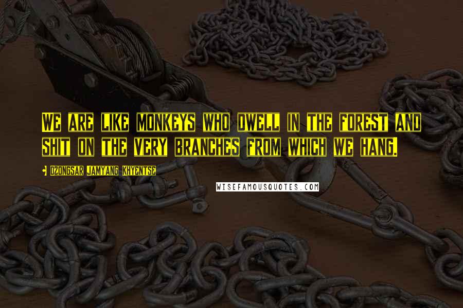 Dzongsar Jamyang Khyentse Quotes: We are like monkeys who dwell in the forest and shit on the very branches from which we hang.