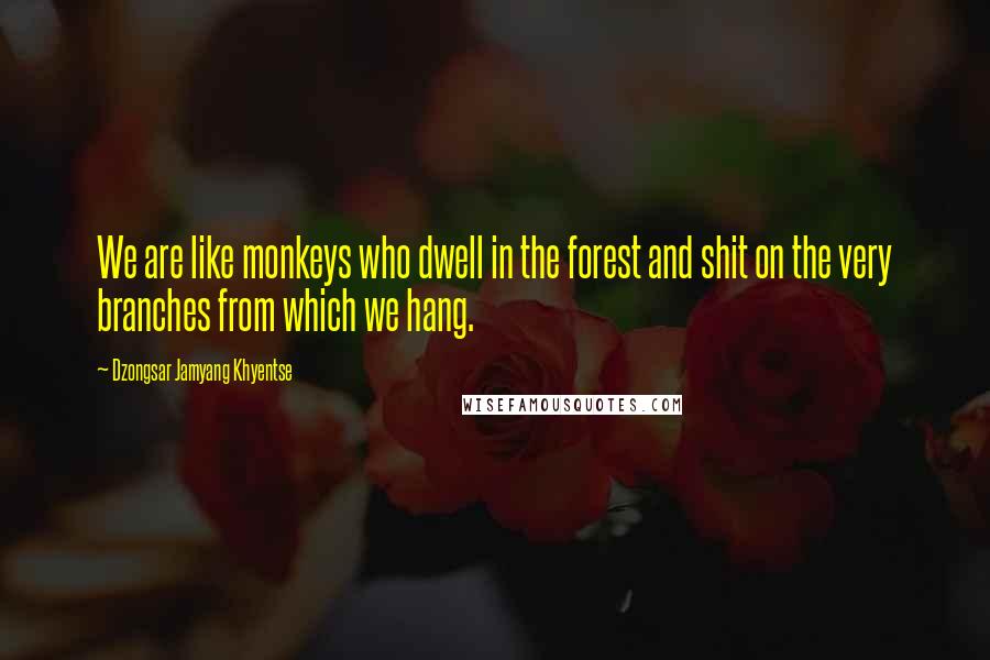 Dzongsar Jamyang Khyentse Quotes: We are like monkeys who dwell in the forest and shit on the very branches from which we hang.